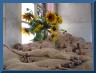 178_7869.JPG
