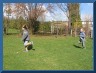 IMG_9235.JPG